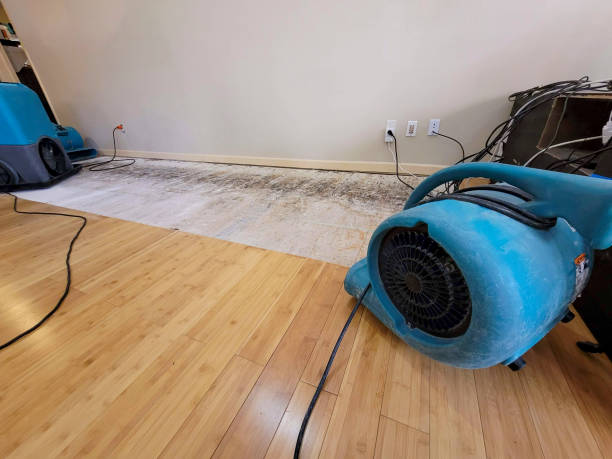 Reliable Burst Pipe Water Damage contractor in Stockton, CA by Hirex Water Damage